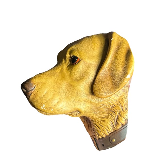 Bosson Chalkware Head Hand Painted England 1968 Golden Labrador Retriever - Picture 2 of 10